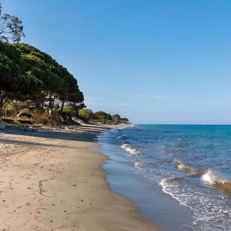 Apartment Mb4 Piscine By Interhome Moriani Plage Εξωτερικό φωτογραφία